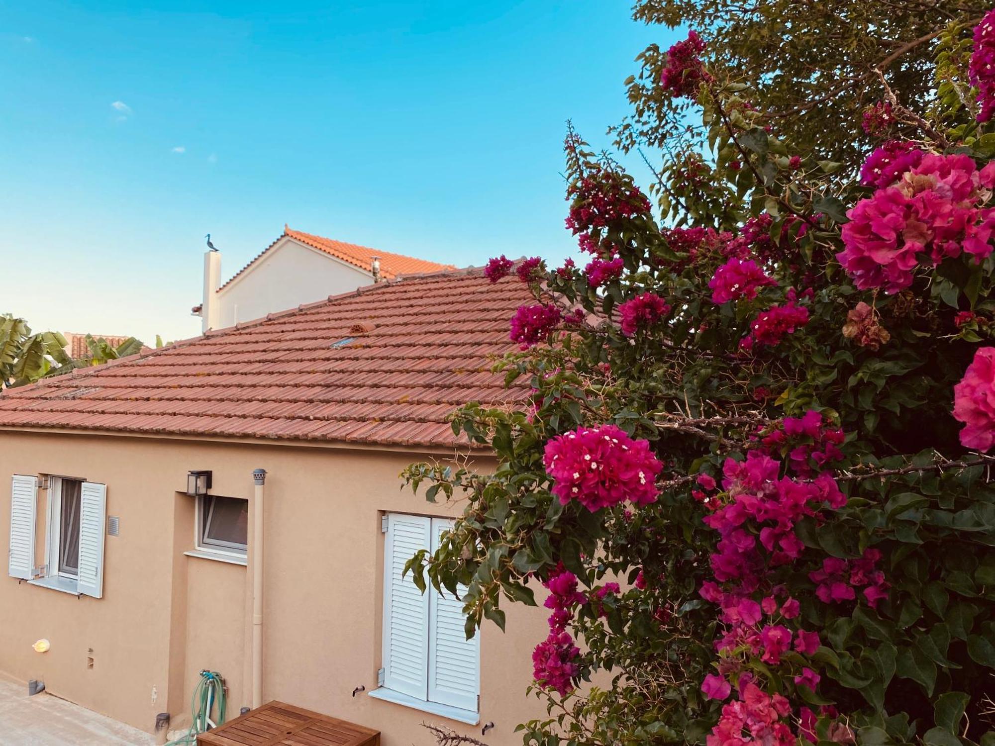 Katoικια Lourdata (Kefalonia) Exterior foto
