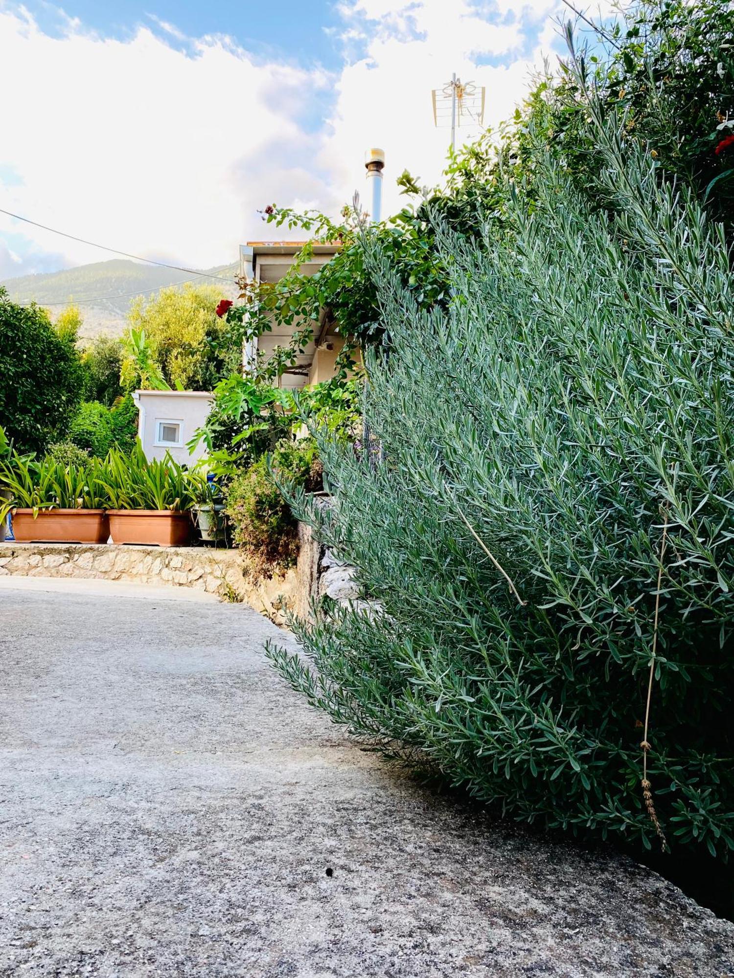 Katoικια Lourdata (Kefalonia) Exterior foto